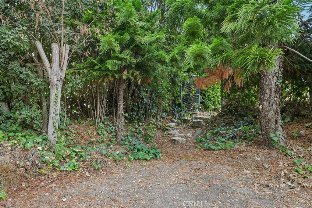 20 Saddle Road Rancho Palos Verdes, CA 90275 - Photo 41 of 44 a backyard of a house with lots of trees
