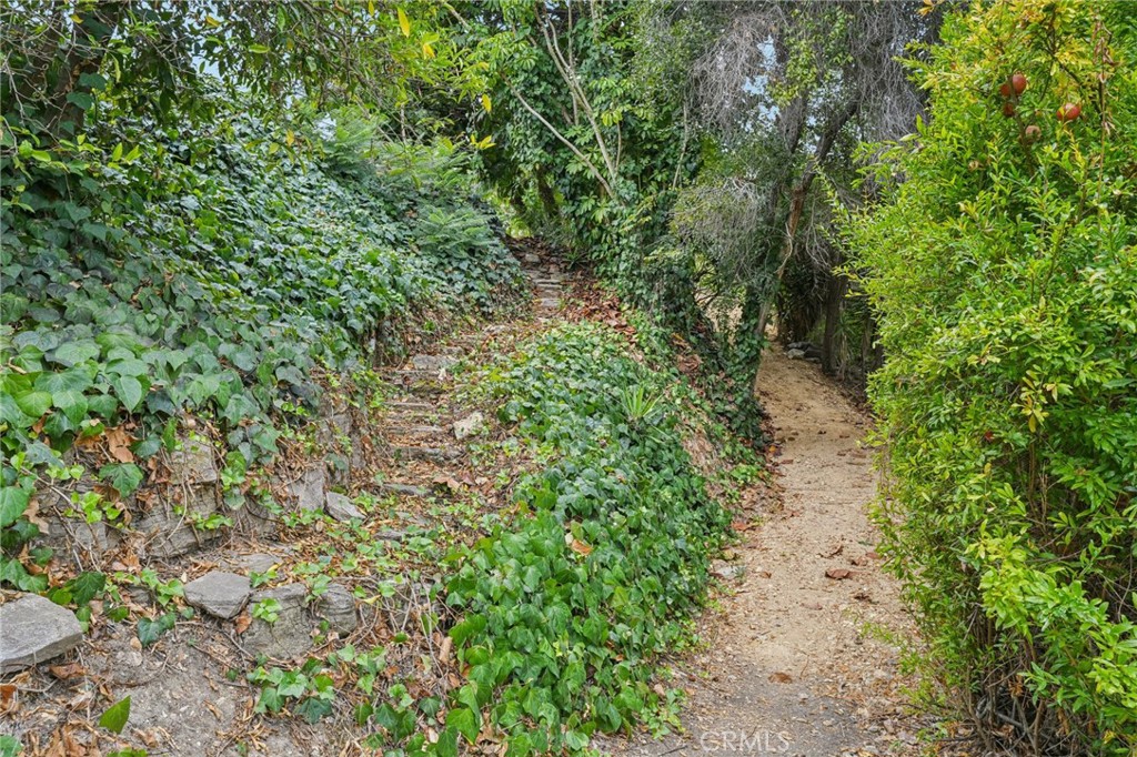 20 Saddle Road Rancho Palos Verdes, CA 90275 - Photo 43 of 44 a view of a forest with a tree