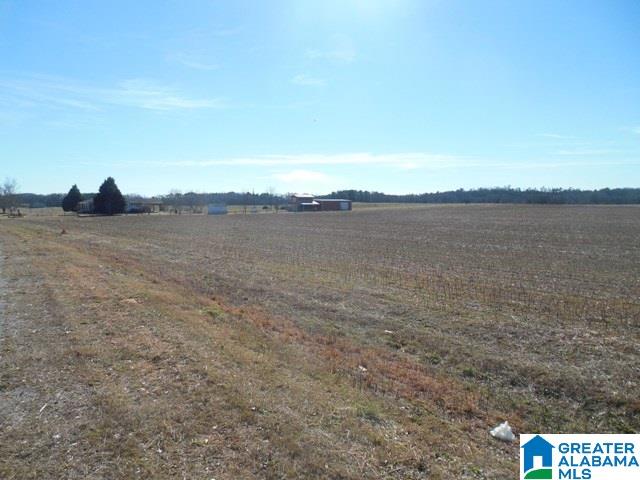 0 Curry Station Road, Unit 1 Munford, AL 36268 - Photo 11 of 14