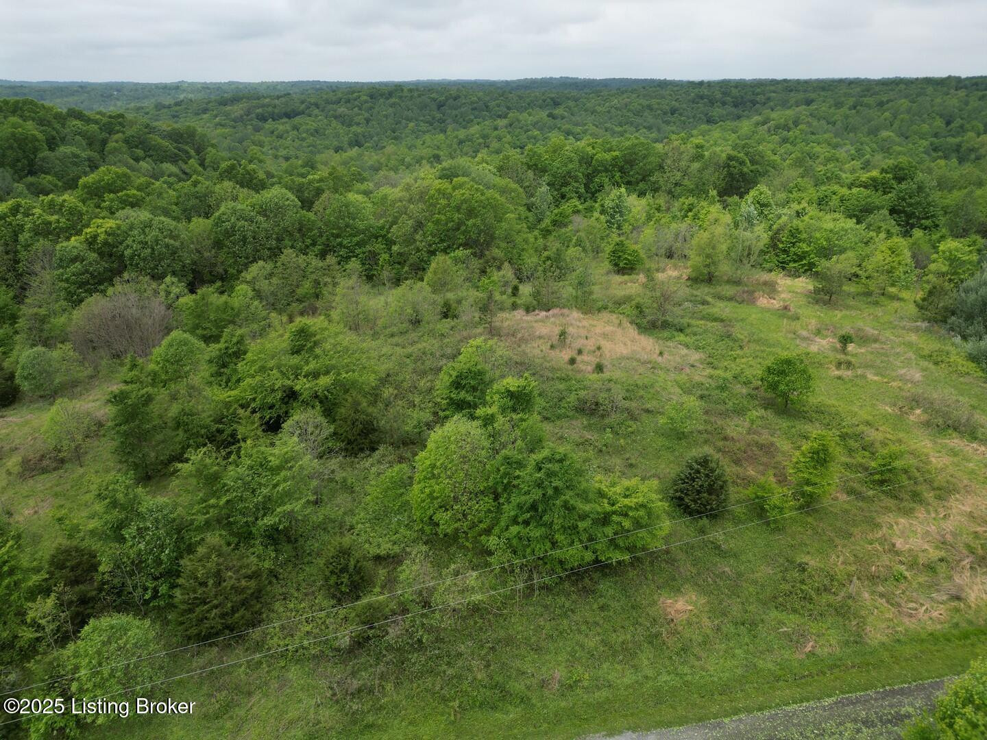 Lot 14 Duvall Road Caneyville, KY 42721 - Photo 4 of 8 L14-2