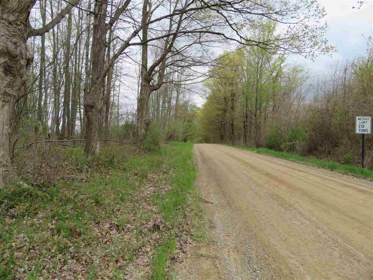 0 Wagner Road Imlay City, MI 48444 - Photo 6 of 6