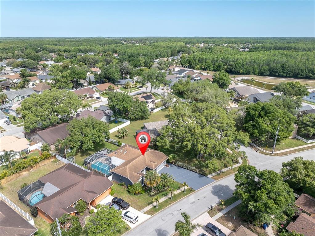 4851 Deer Lodge Road New Port Richey, FL 34655 - Photo 3 of 44 Gallery Image 3