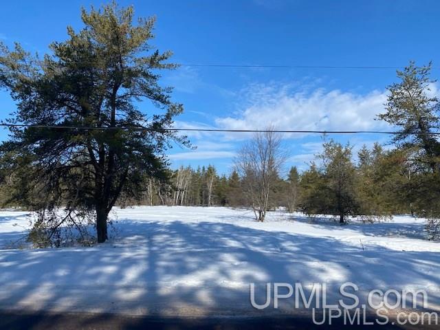 1932 East Co Road, Unit 1918 Little Lake, MI 49833 - Photo 4 of 10