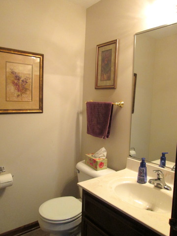 2555 Miller Road Geneva, IL 60134 - Photo 8 of 18