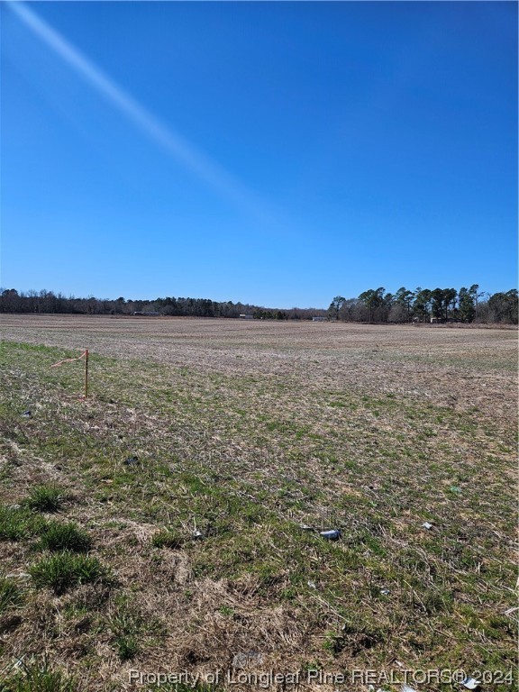 Mcgirt Road Maxton, NC 28364 - Photo 3 of 3 Gallery Image 3