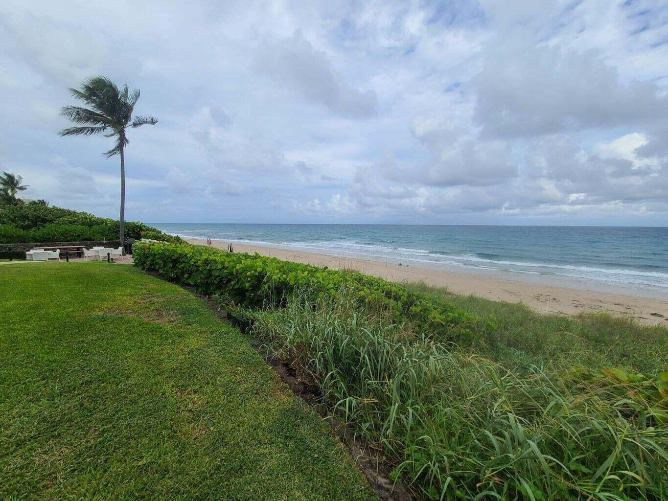 3851 North Ocean Boulevard, Unit 409 Gulf Stream, FL 33483 - Photo 25 of 29 a view of a garden with a tree in the background