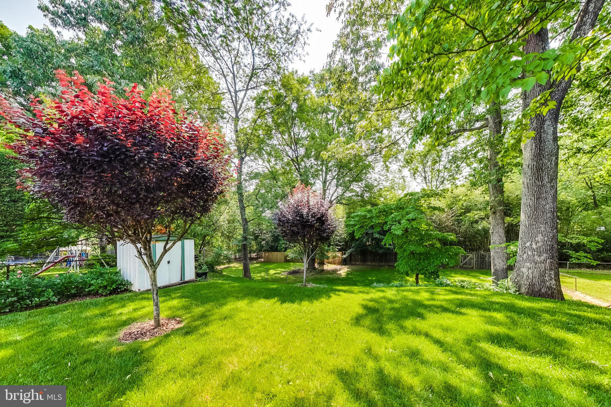 232 Hannes Street Silver Spring, MD 20901 - Photo 45 of 49