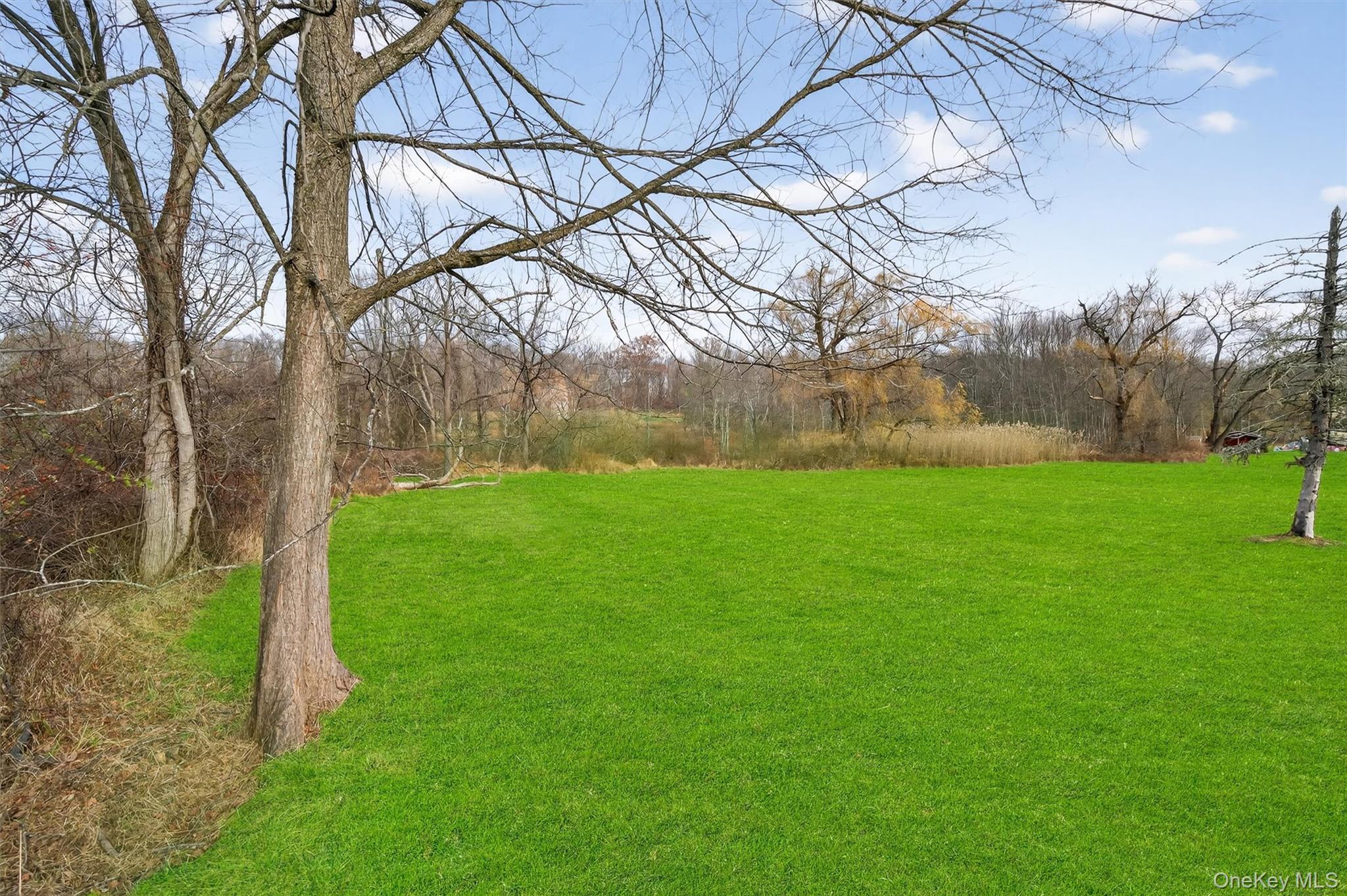 120 Pine Tree Road Monroe, NY 10950 - Photo 40 of 50 a backyard of a house with lots of green space and fountain