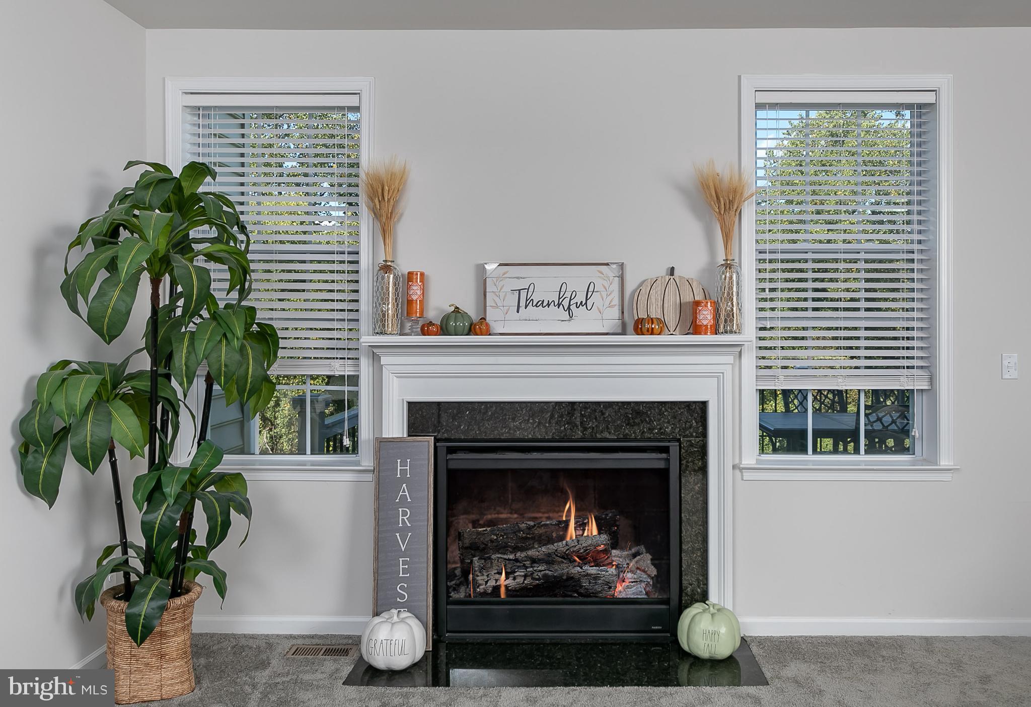 336 Spruce Pine Road Abingdon, MD 21009 - Photo 17 of 38 Gallery Image 17