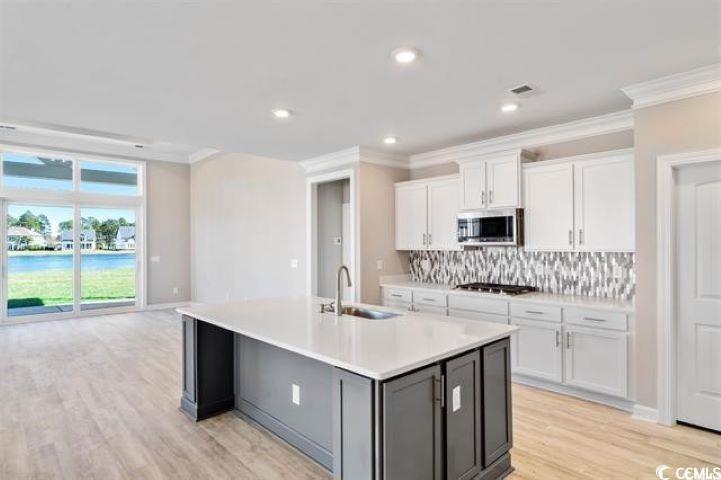 296 Starlit Way Myrtle Beach, SC 29579 - Photo 13 of 28 Kitchen featuring backsplash, stainless steel appl