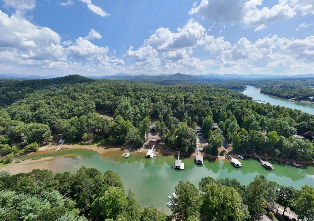 221 Reece Creek Road West Blairsville, GA 30512 - Photo 37 of 53 Gallery Image 37