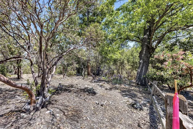 a view of a bench in a forest