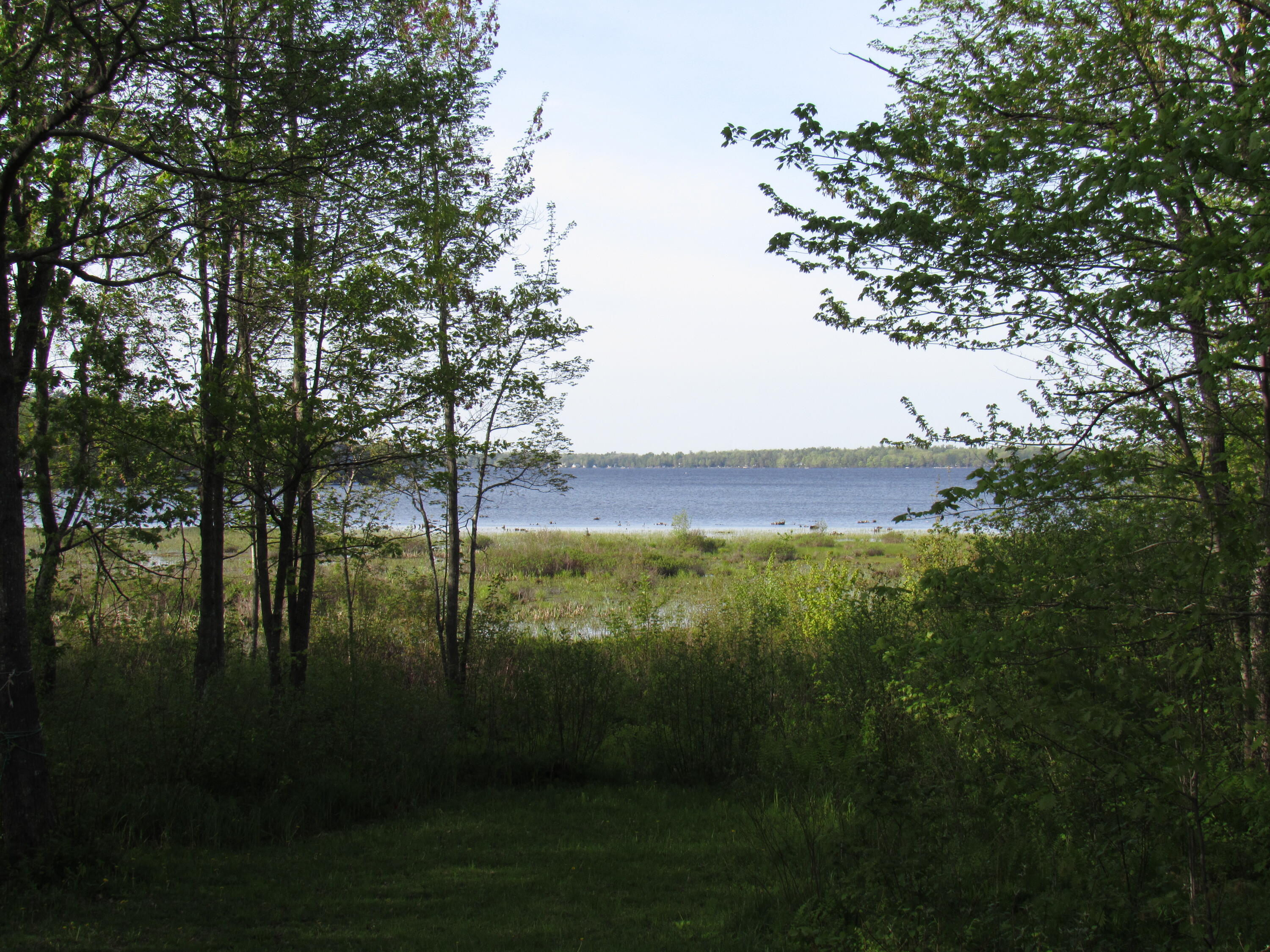 114 Aa Landing Road Glenburn, ME 04401 - Photo 7 of 32 IMG_0007