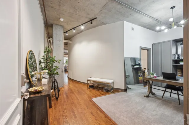 a livingroom with furniture and a potted plant