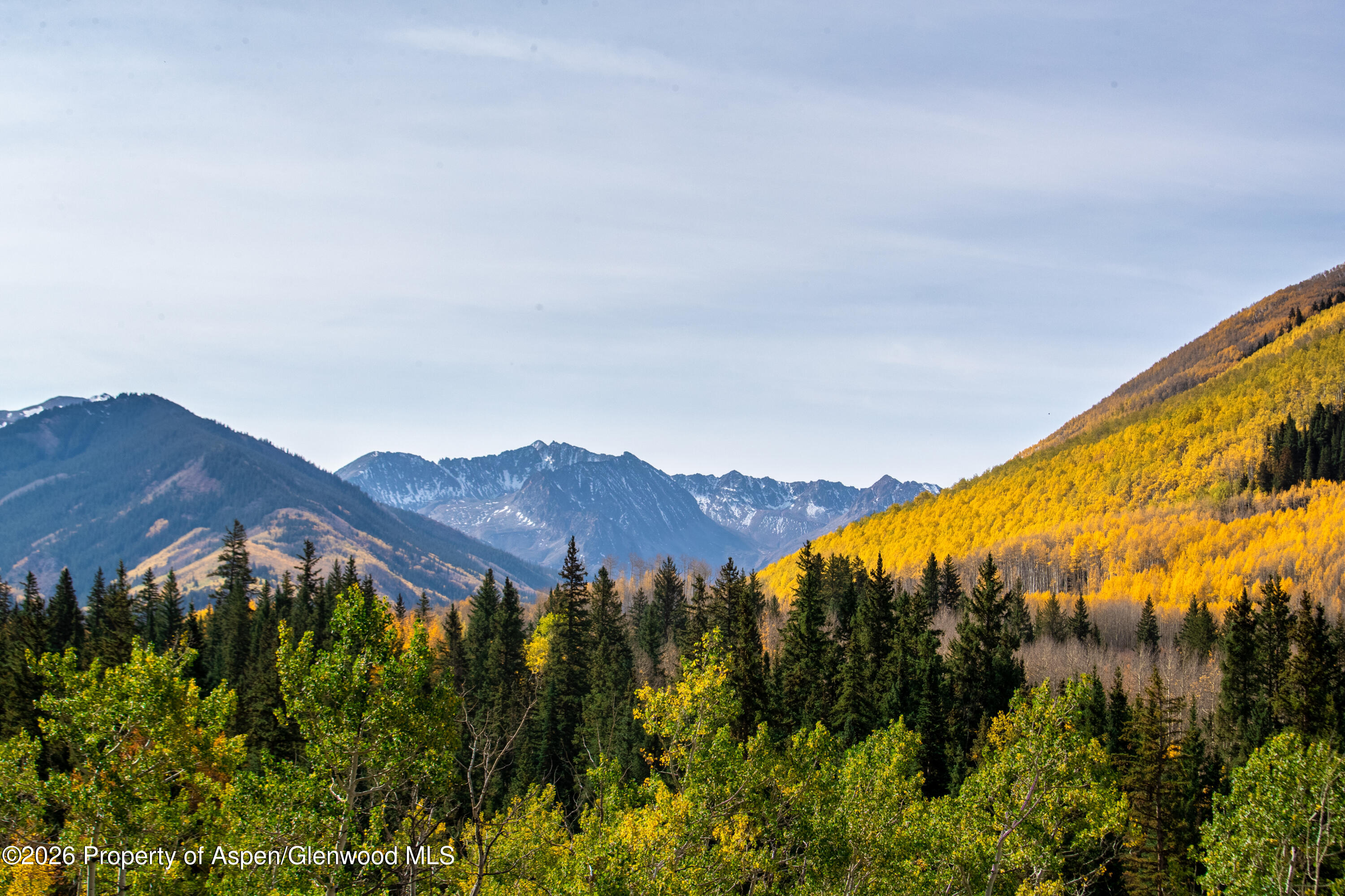27-33 Fall Creek Road Aspen, CO 81612 - Photo 4 of 27 WilkinsonRay_CasaCascada-56 copy