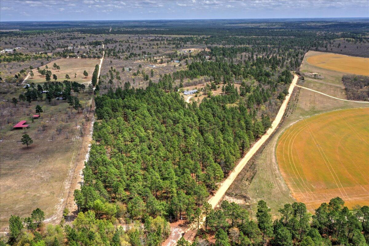367 Pearl Bonnett Road Windsor, SC 29856 - Photo 6 of 37