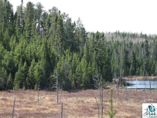 1714 Mackie Road Ely, MN 55731 - Photo 1 of 7