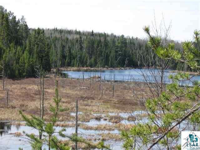 1714 Mackie Road Ely, MN 55731 - Photo 2 of 7