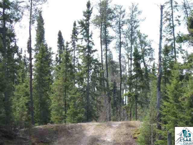 1714 Mackie Road Ely, MN 55731 - Photo 4 of 7