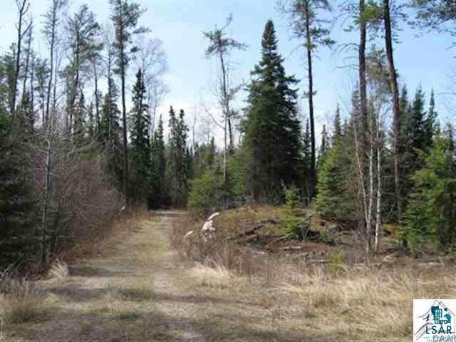 1714 Mackie Road Ely, MN 55731 - Photo 6 of 7