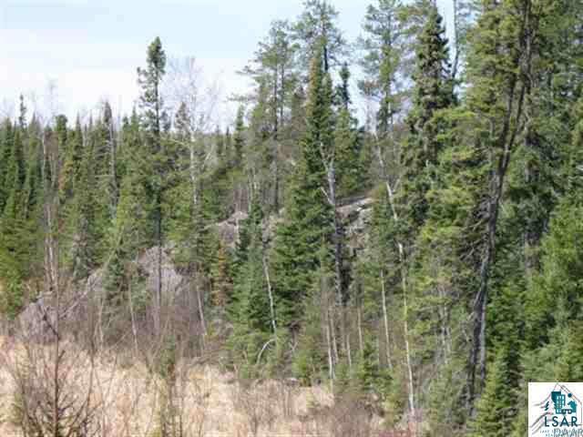 1714 Mackie Road Ely, MN 55731 - Photo 7 of 7