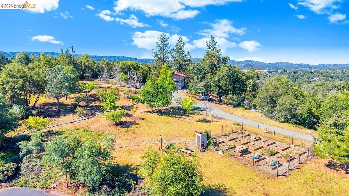 13700 Clements Road Groveland, CA 95321 - Photo 81 of 93 Expansive property featuring a fenced garden area with raised beds, mature trees, a gravel driveway, and a distant building with a red roof