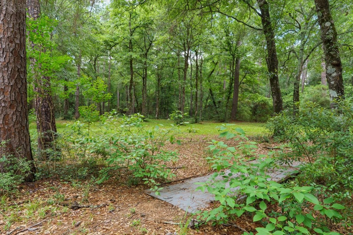 16375 Grand Flower Road Plantersville, TX 77363 - Photo 42 of 50 a view of a lush green forest