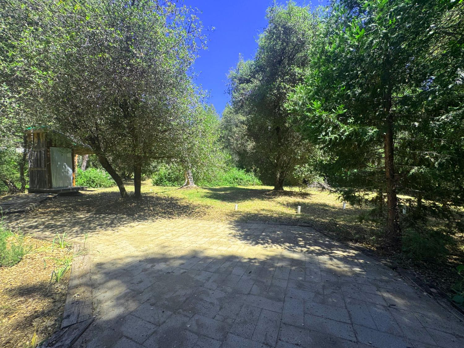 12767 Newtown Road Nevada City, CA 95959 - Photo 34 of 57 a view of a yard with swimming pool