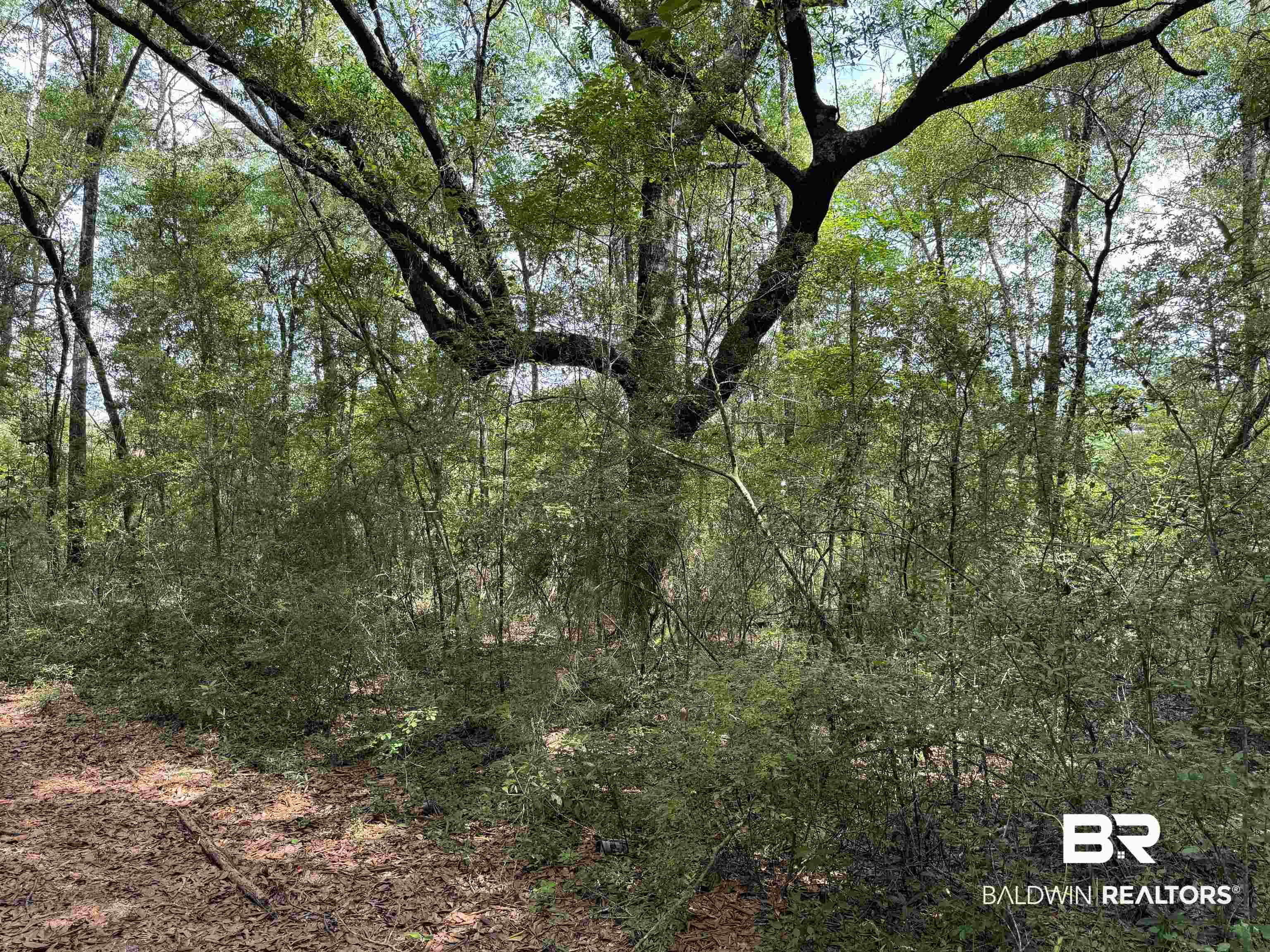 0 US Highway 98 Semmes, AL 36575 - Photo 23 of 24