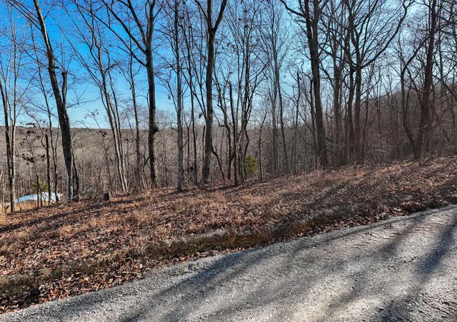 a view of a backyard of the house