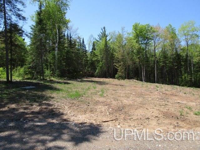 Tbd Co Rd Ppl Ishpeming, MI 49849 - Photo 18 of 30