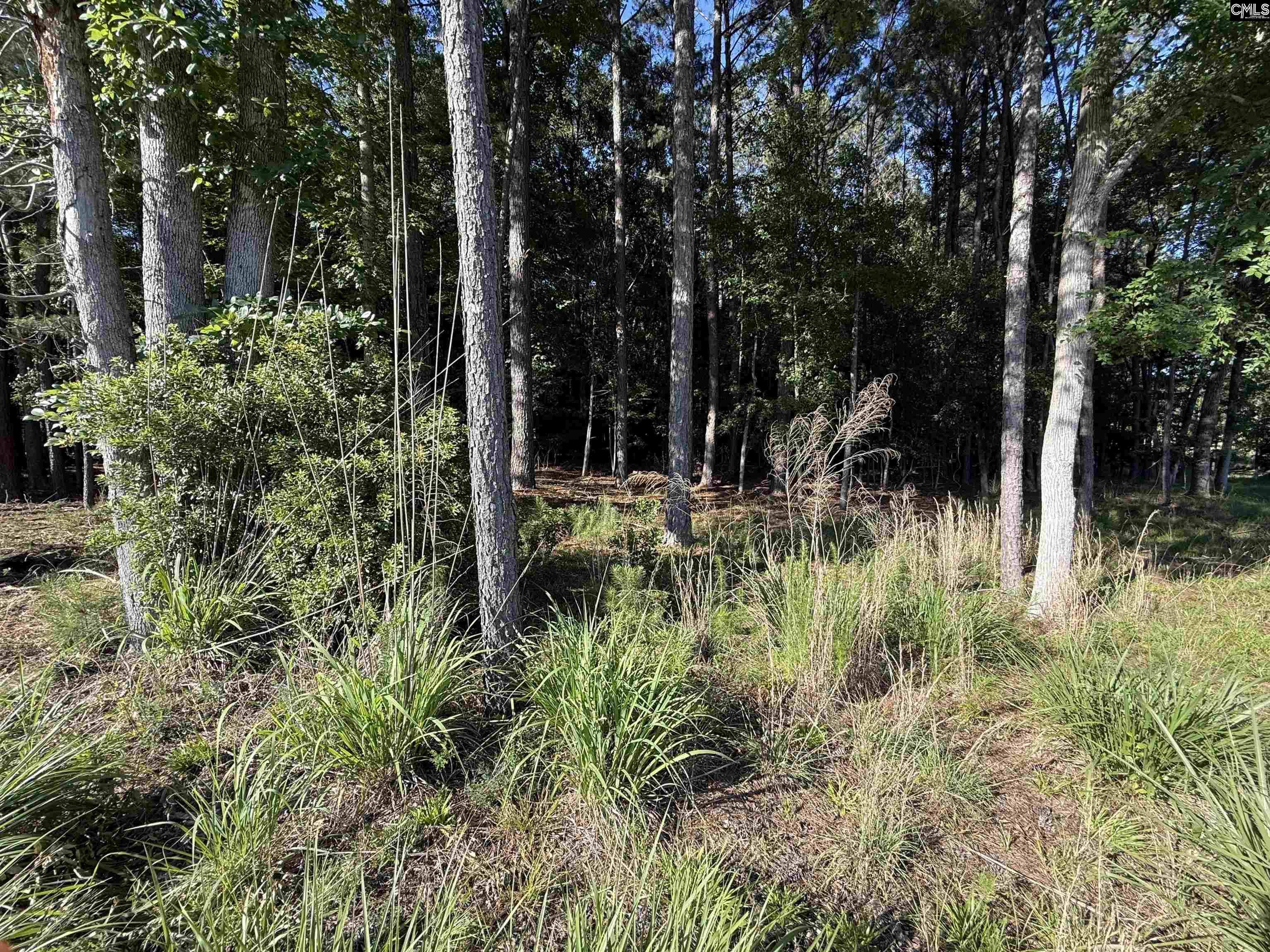 60 Circle H Woods Road Prosperity, SC 29127 - Photo 41 of 53