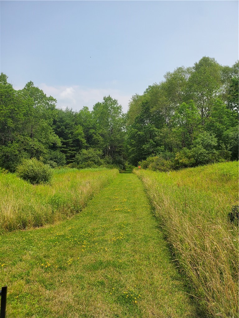 0 Holiday Road Fillmore, NY 14735 - Photo 1 of 1
