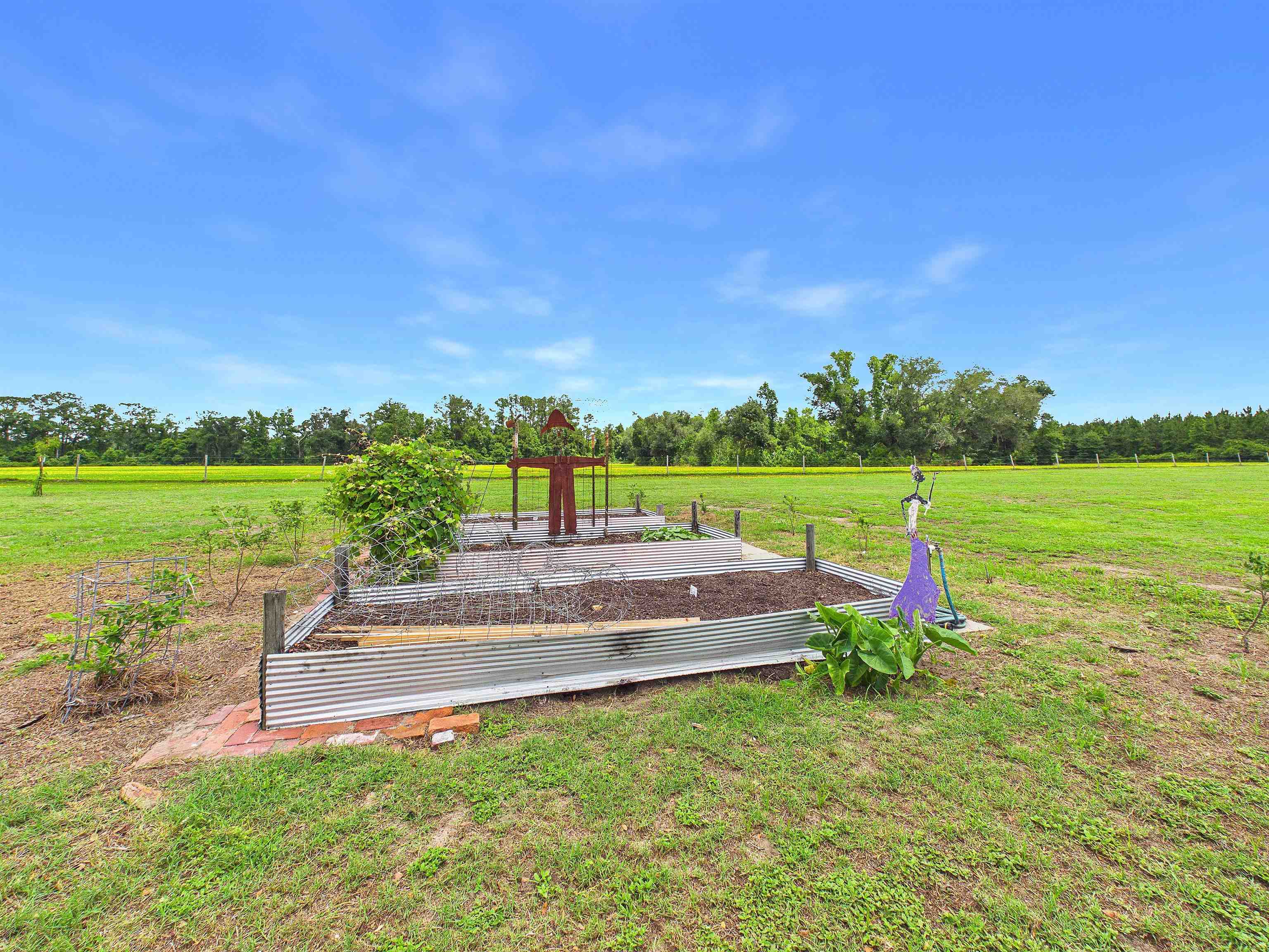 4764 Southwest Fellowship Road Greenville, FL 32331 - Photo 33 of 70