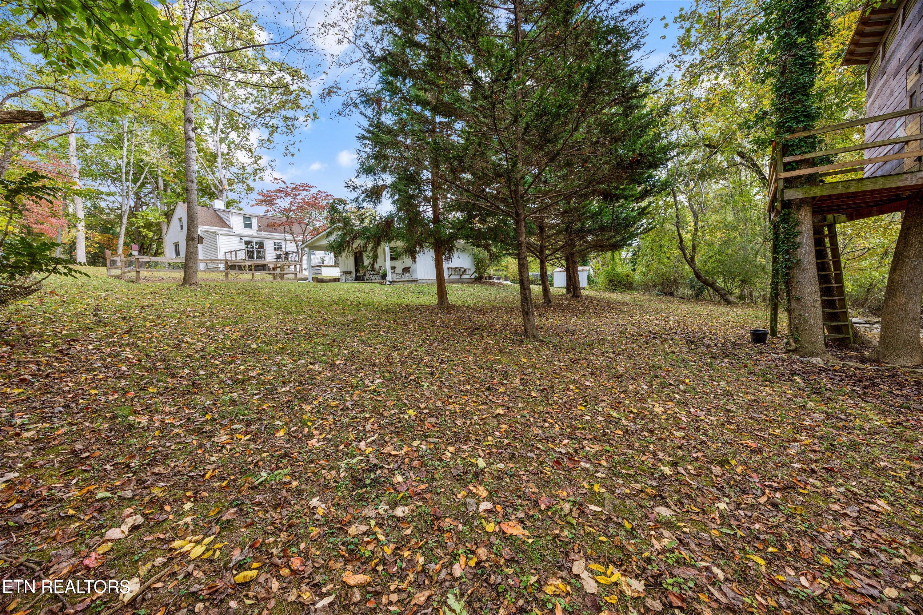 129 West Norris Road Norris, TN 37828 - Photo 34 of 43 BACK YARD