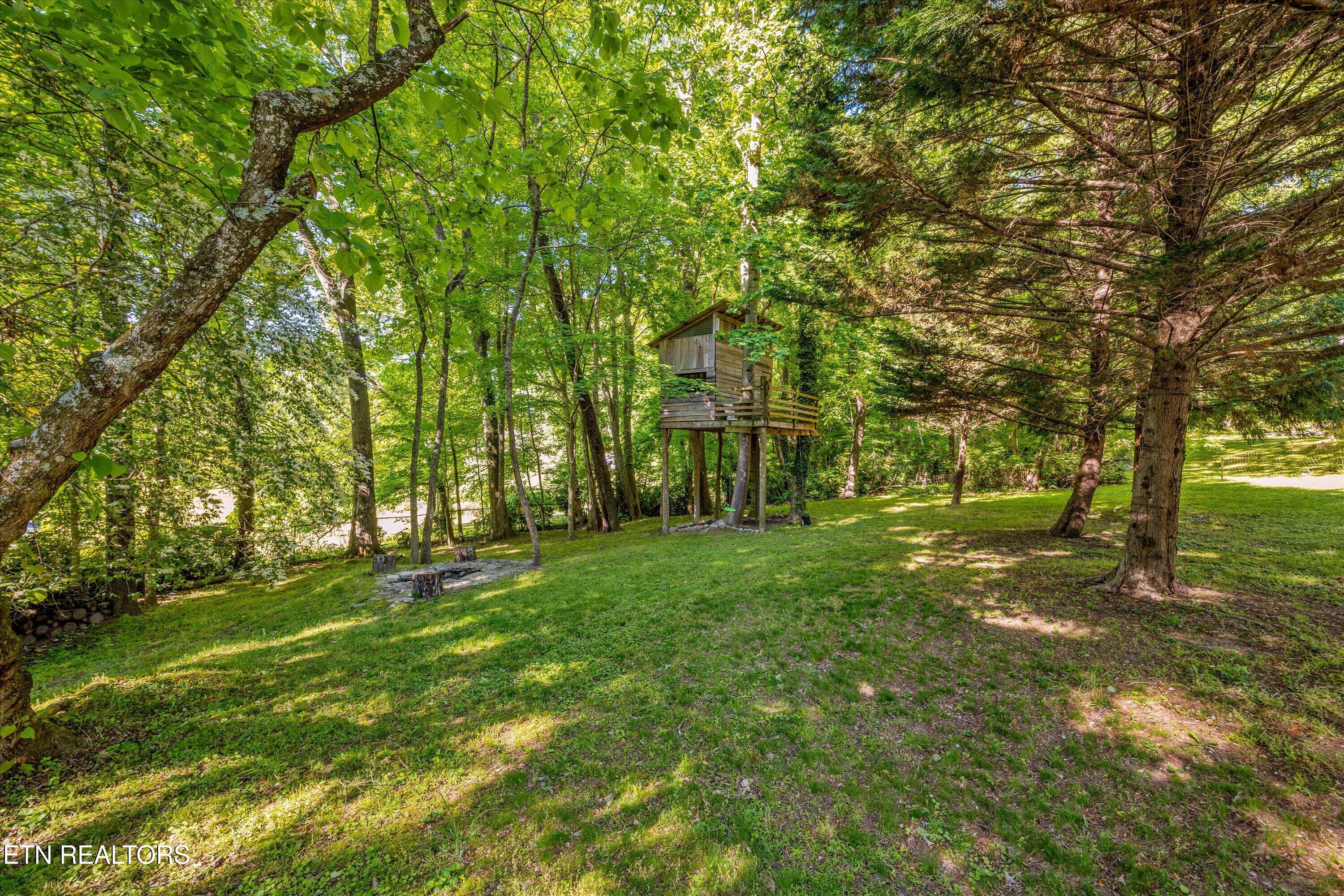 129 West Norris Road Norris, TN 37828 - Photo 35 of 42 YARD