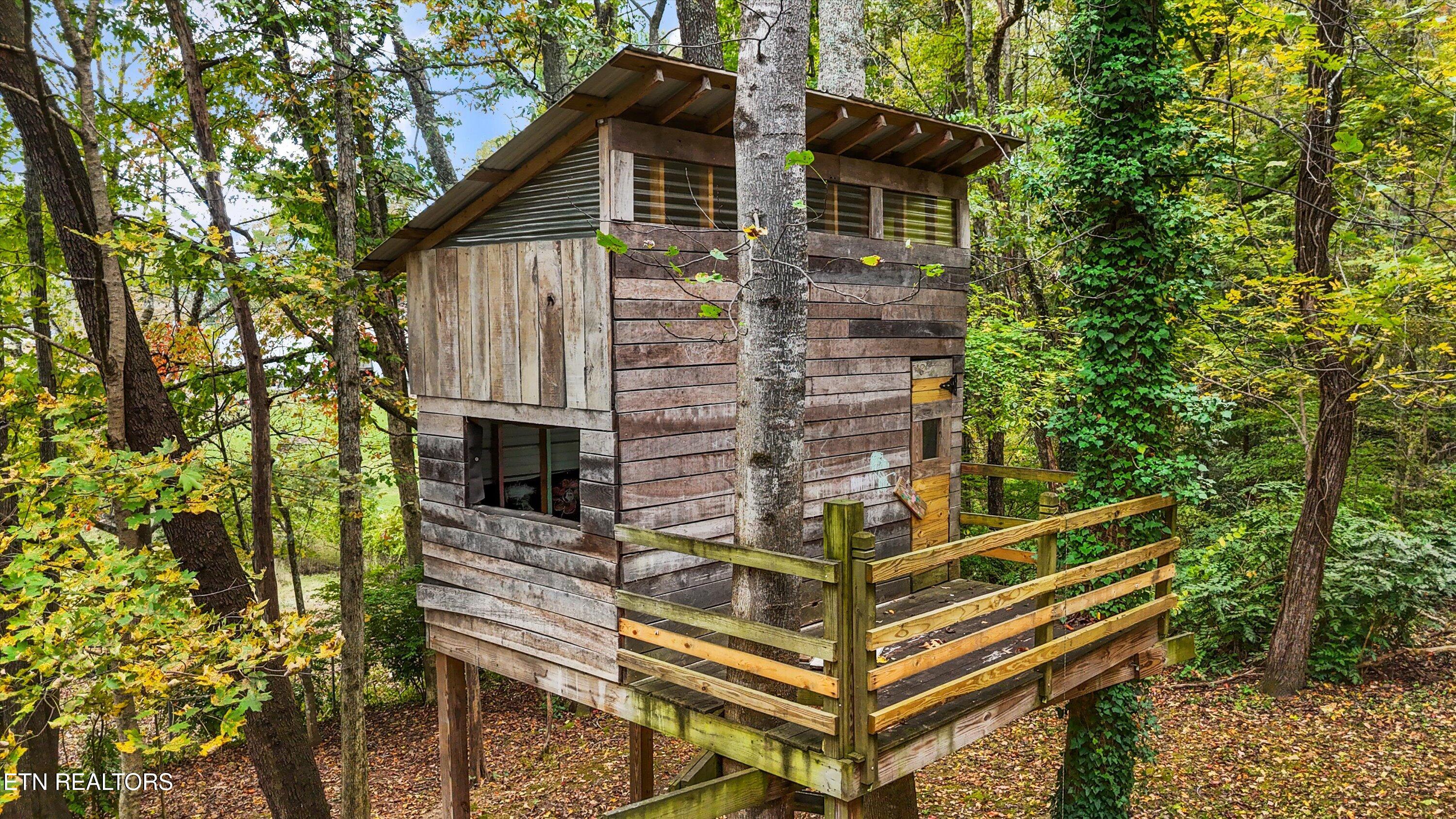 129 West Norris Road Norris, TN 37828 - Photo 41 of 43 TREEHOUSE