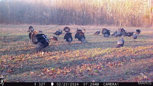 $554,300 | 0 Union Grove Avenue, Greenville, IL 62246