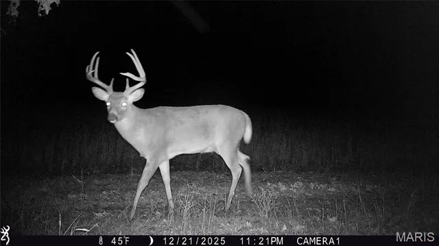 $554,300 | 0 Union Grove Avenue, Greenville, IL 62246