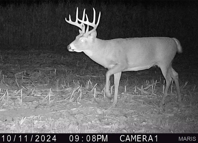 $554,300 | 0 Union Grove Avenue, Greenville, IL 62246