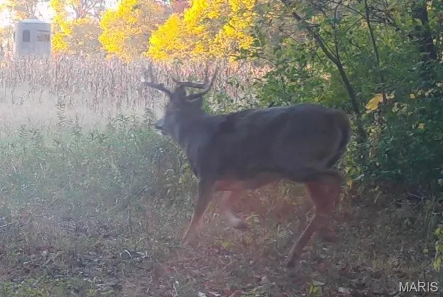 $554,300 | 0 Union Grove Avenue, Greenville, IL 62246