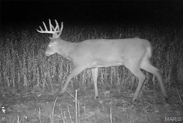 $554,300 | 0 Union Grove Avenue, Greenville, IL 62246