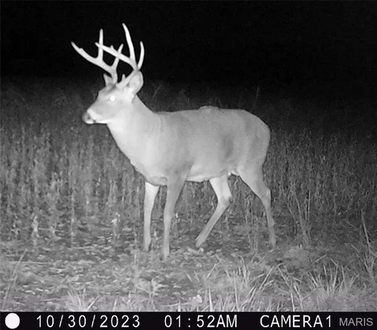 $554,300 | 0 Union Grove Avenue, Greenville, IL 62246