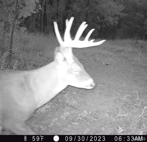 $554,300 | 0 Union Grove Avenue, Greenville, IL 62246