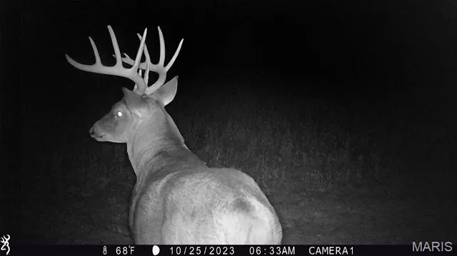 $554,300 | 0 Union Grove Avenue, Greenville, IL 62246