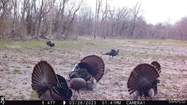 $554,300 | 0 Union Grove Avenue, Greenville, IL 62246