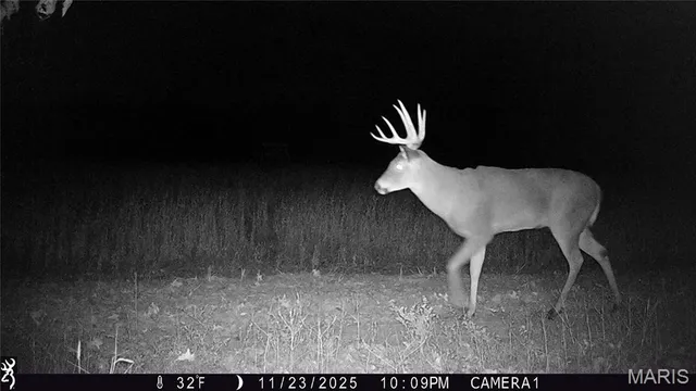 $554,300 | 0 Union Grove Avenue, Greenville, IL 62246