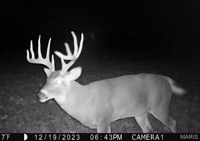 $554,300 | 0 Union Grove Avenue, Greenville, IL 62246