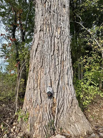 $554,300 | 0 Union Grove Avenue, Greenville, IL 62246