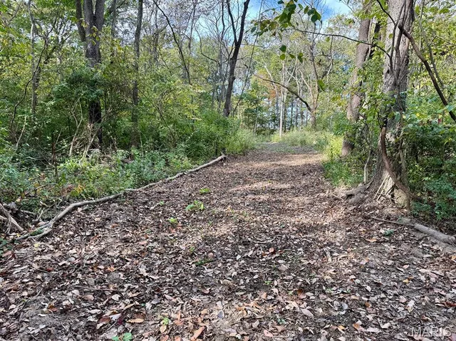 $554,300 | 0 Union Grove Avenue, Greenville, IL 62246